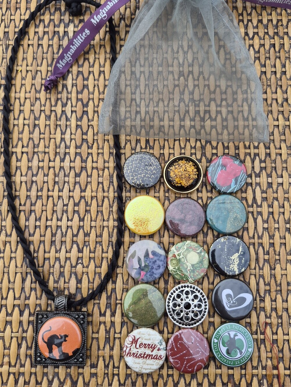 Magnabilities Black Cord Necklace & 16 Interchangeable Magnetic Pendants Holiday